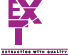 ExtraStone Logo